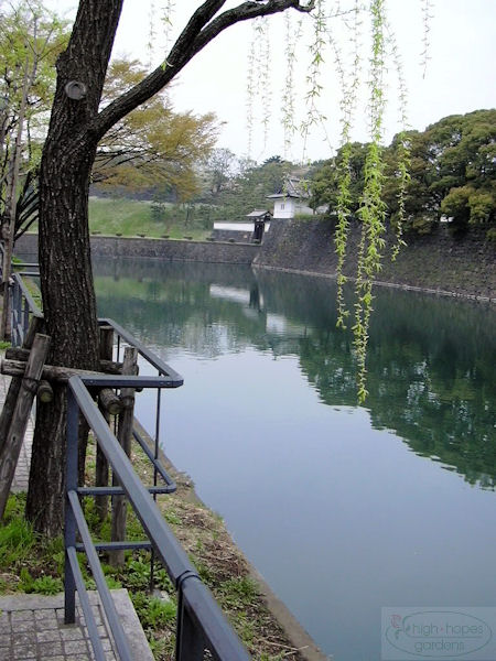 Moat of Imperial Palace