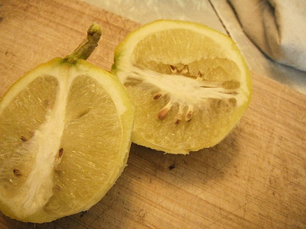 cut lemons