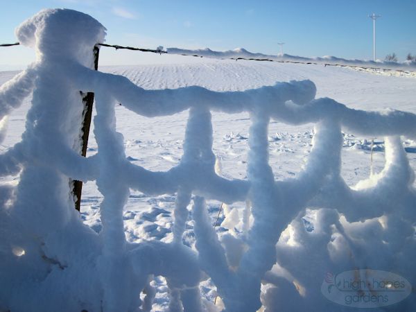 snow on fence